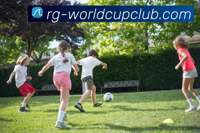 多媒体互动体验